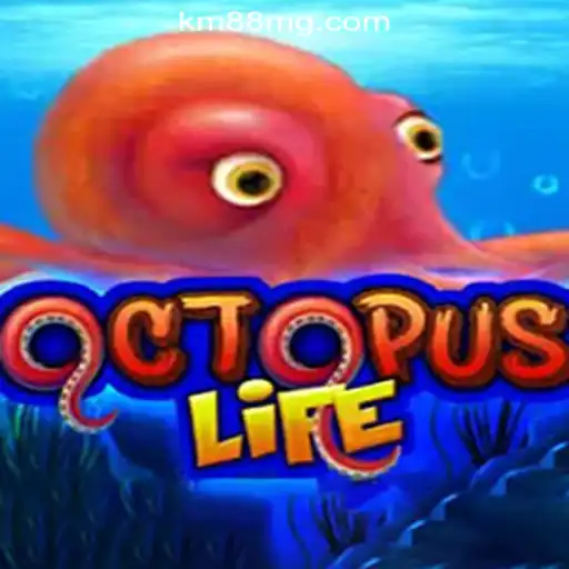 Exploring the Underwater Adventure of OctopusLife